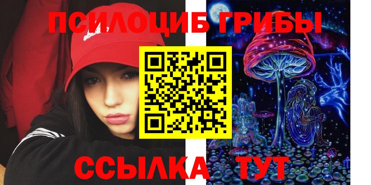 Черняховск  Галлюциногенные грибы GOLDEN TEACHER  Вход с VPN 