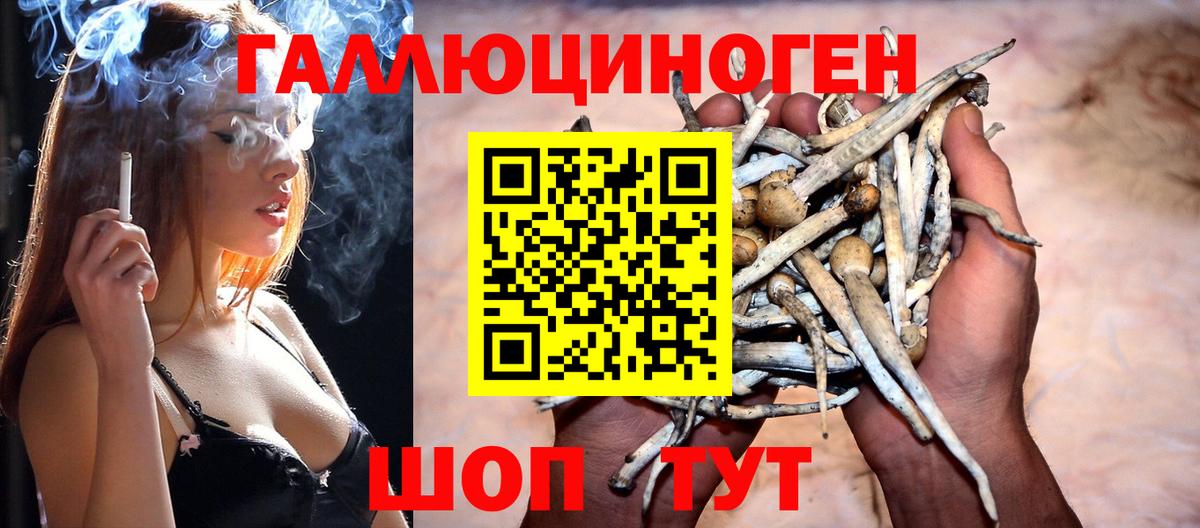 Галлюциногенные грибы мухоморы Черняховск